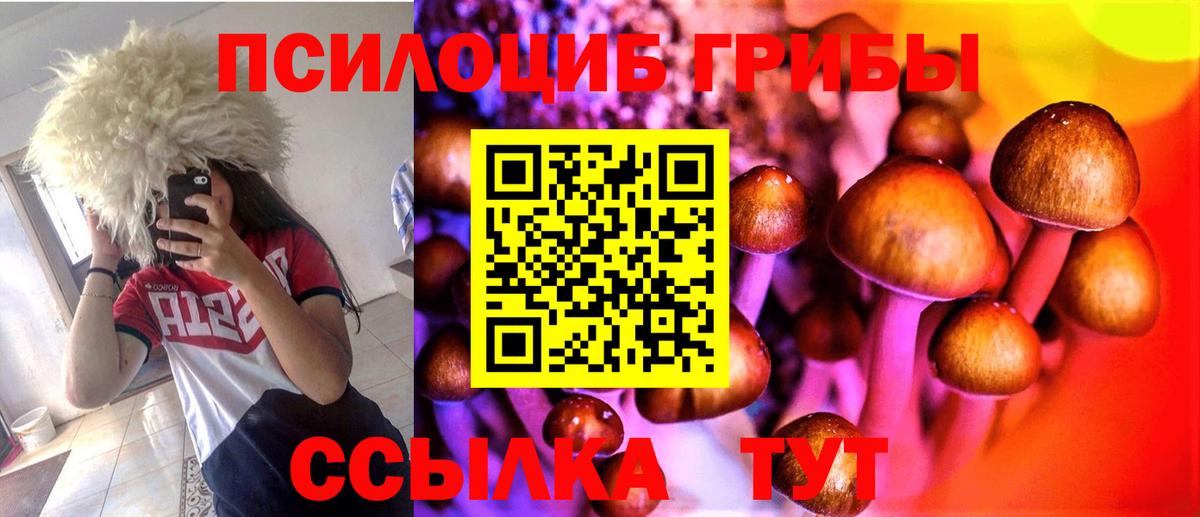 Бошки Шишки  Экстази  ГАШИШ  Меф  Вход с VPN  Новокуйбышевск  ГАШ  МЕФ кристаллы 