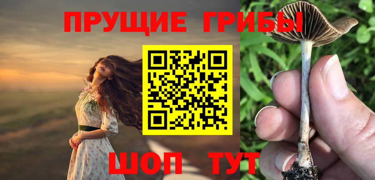 Новокуйбышевск  Псилоцибиновые грибы мицелий  Вход с VPN 