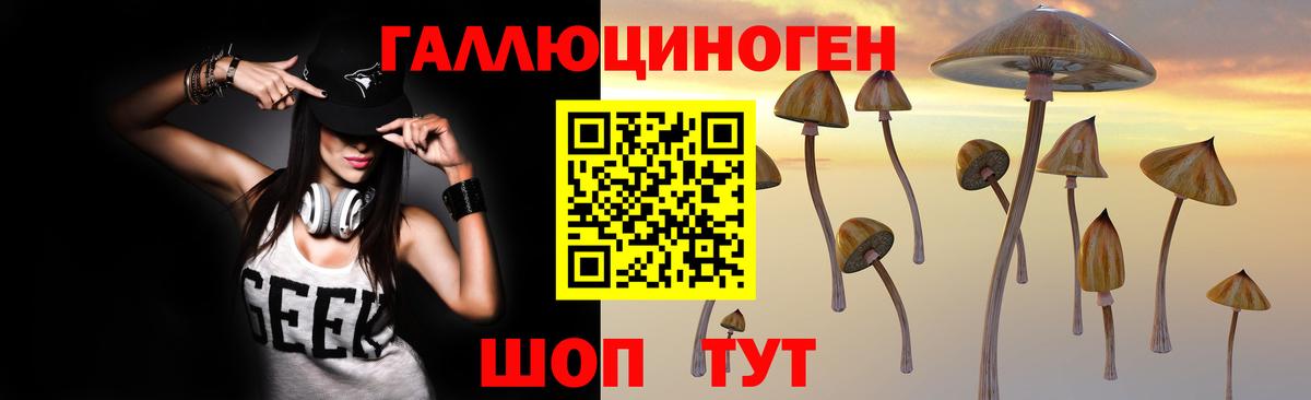 Галлюциногенные грибы прущие грибы Новокуйбышевск